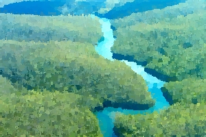 Amazon Rainforest